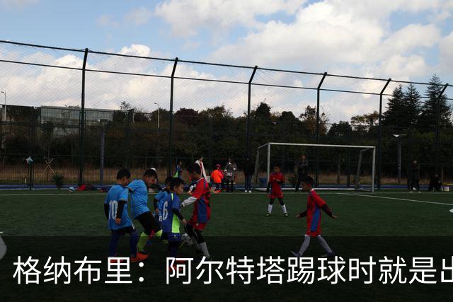 格纳布里：阿尔特塔踢球时就是出色领袖；祝福凯恩能拿金球奖