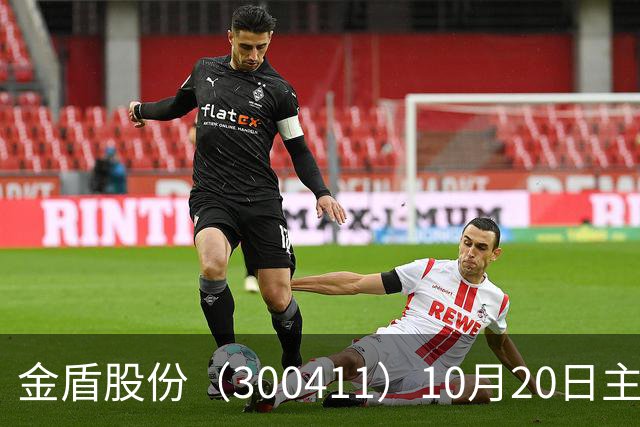 金盾股份（300411）10月20日主力资金净卖出876.72万元